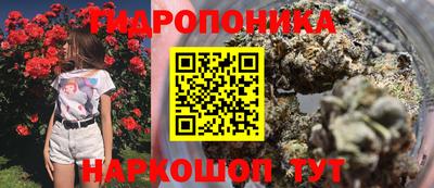 скорость Рязань