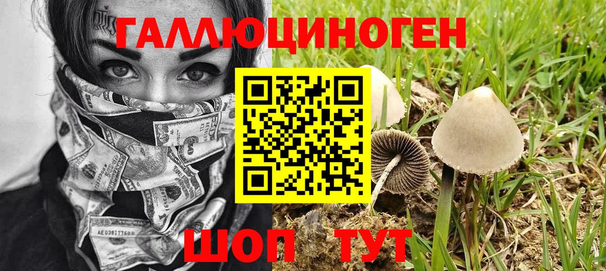 Северск  Галлюциногенные грибы GOLDEN TEACHER  Галлюциногенные грибы Magic Shrooms  Вход с VPN 