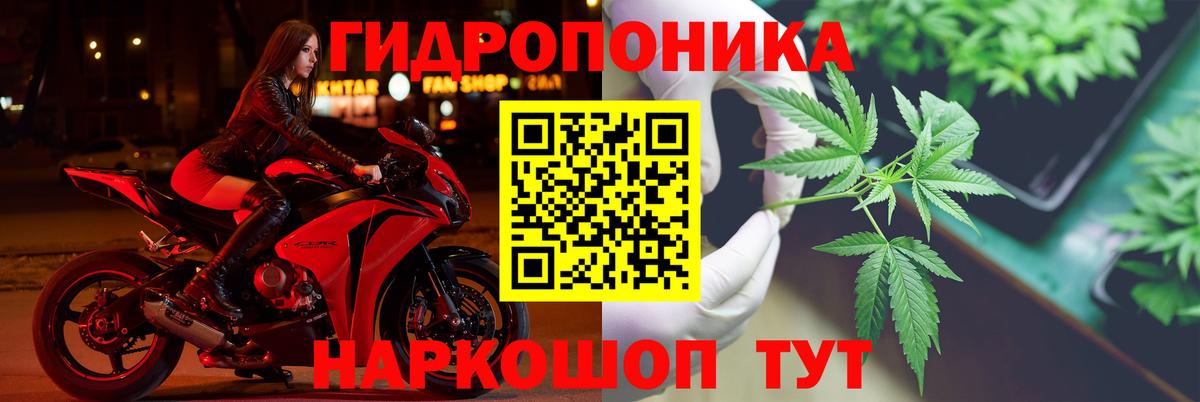 Бошки марихуана сатива  МАРИХУАНА планчик  Конопля план  Вход с VPN  Северск 